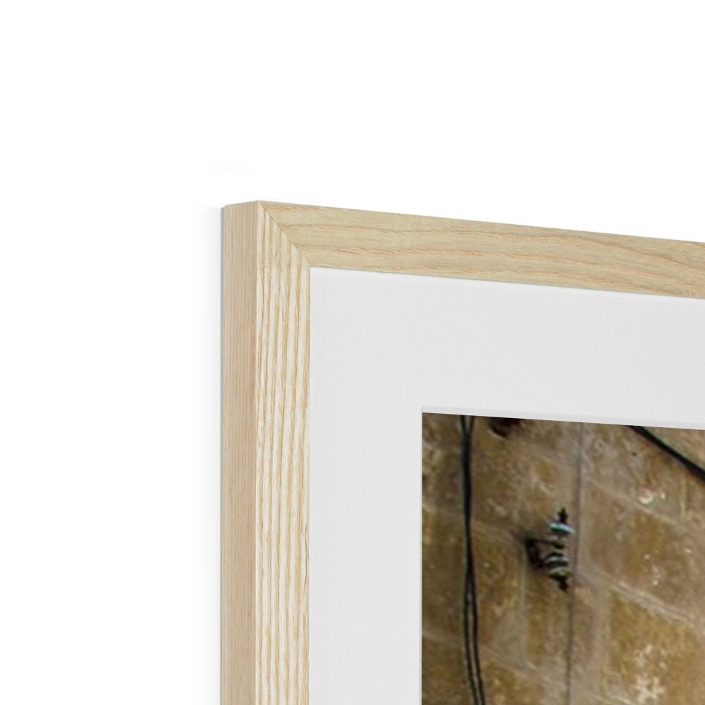Door in Jerusalem, Palestine Framed Print | Sara Russell