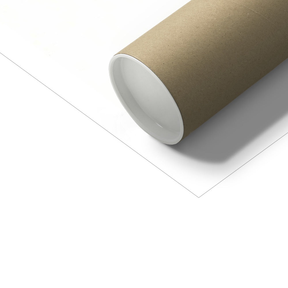 Twelvefold Torus Art Print | Lieve Oudejans