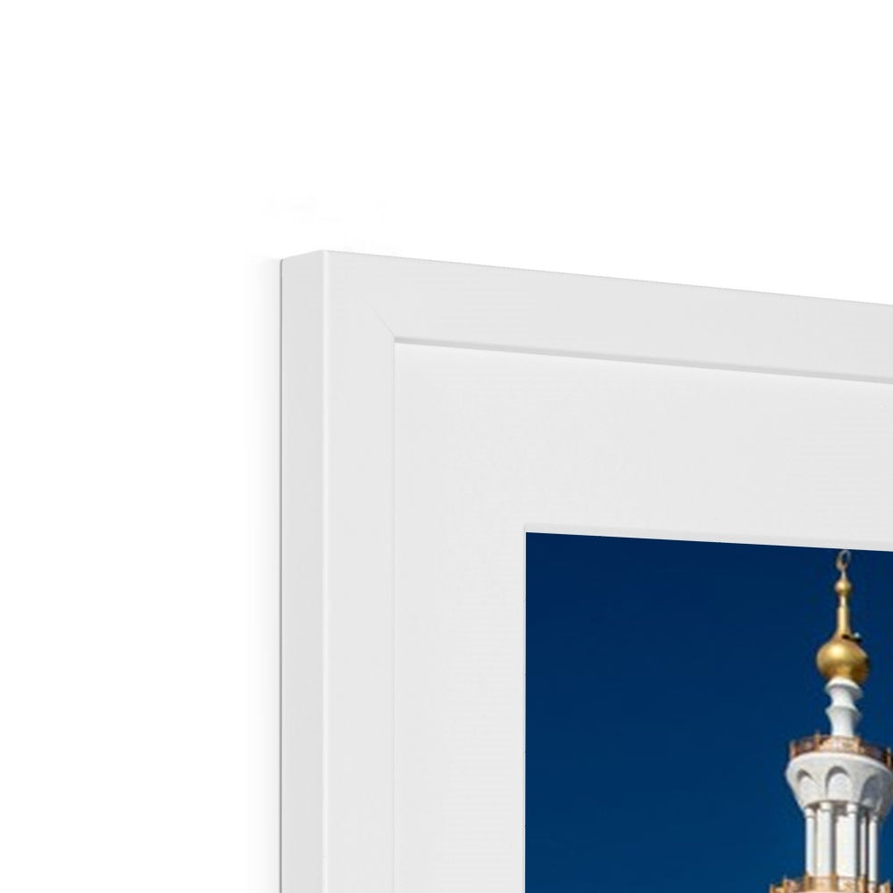 Sheikh Zayed 4 Framed Print | Ayaz Ali