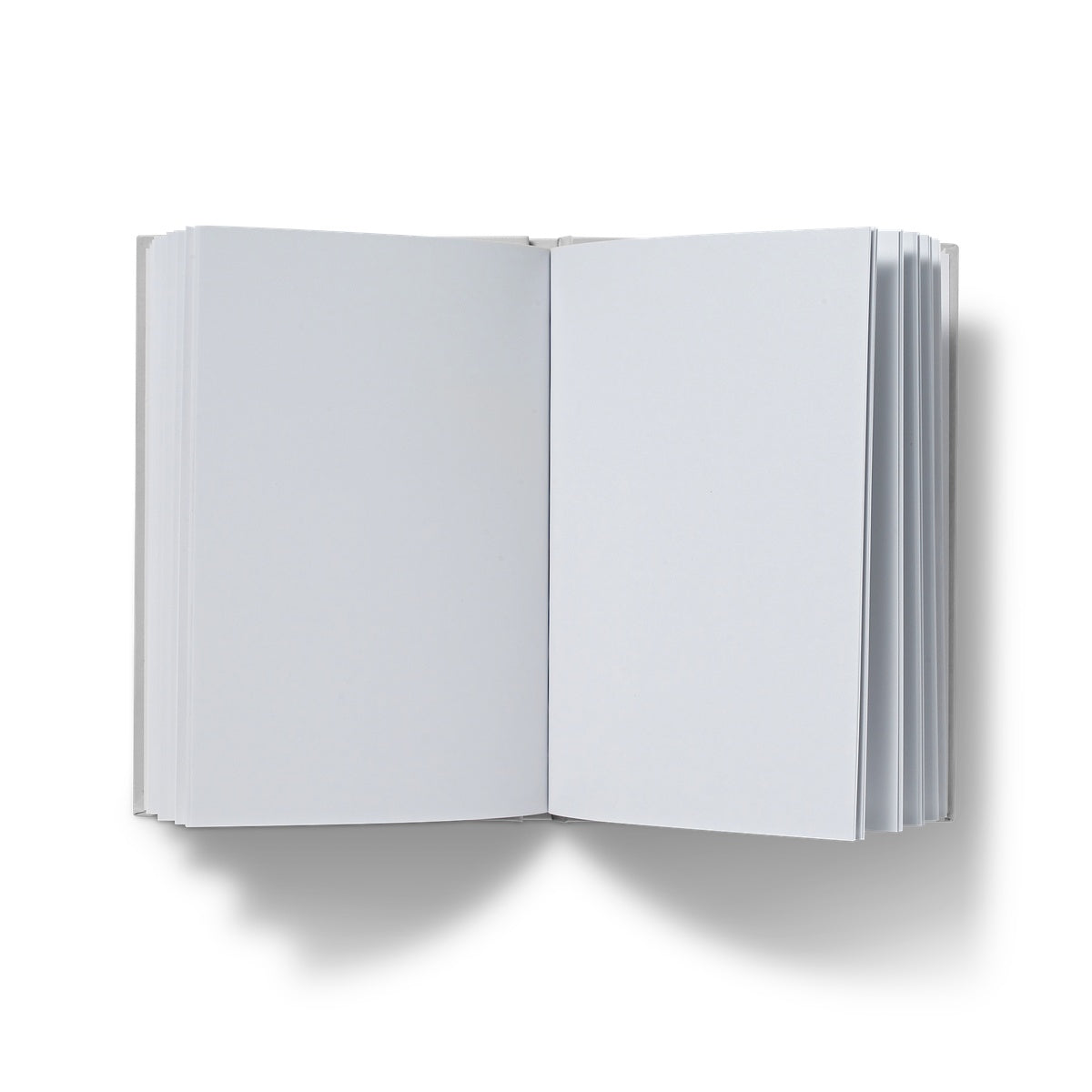 Vakil Mosque | Ayaz Ali Hardback Notebook