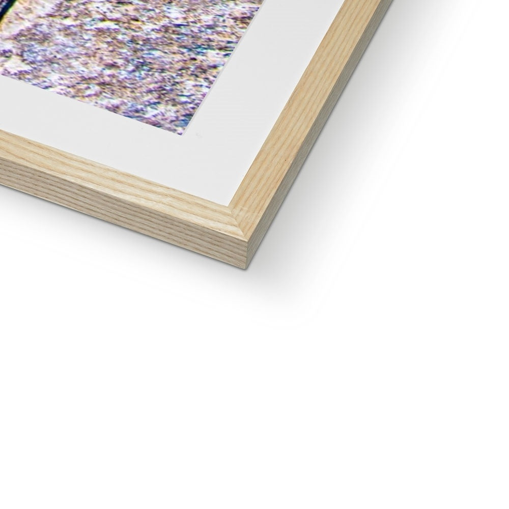 Blue Door Framed Print | Sara Russell