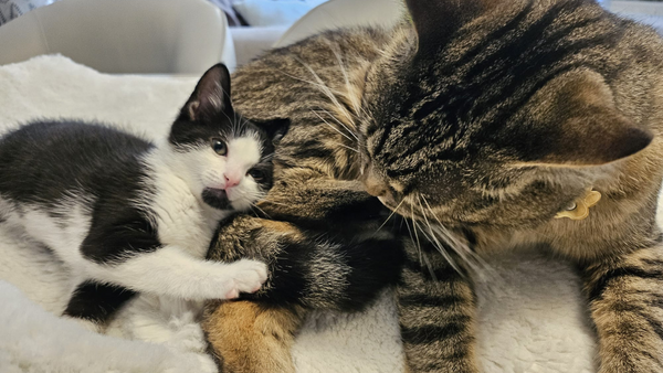 We all need a bit of love