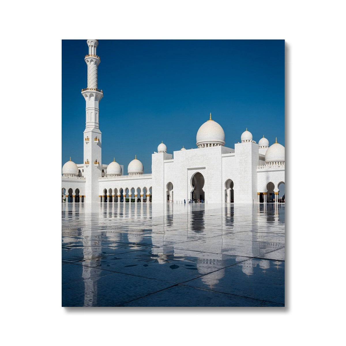 Sheikh Zayed 4 Canvas | Ayaz Ali