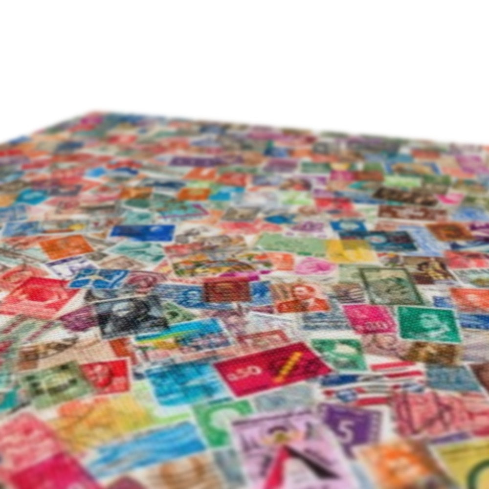 Geographical Diversity Canvas | Siddiqa Juma