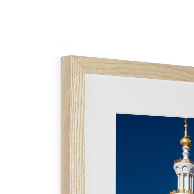 Sheikh Zayed 4 Framed Print | Ayaz Ali