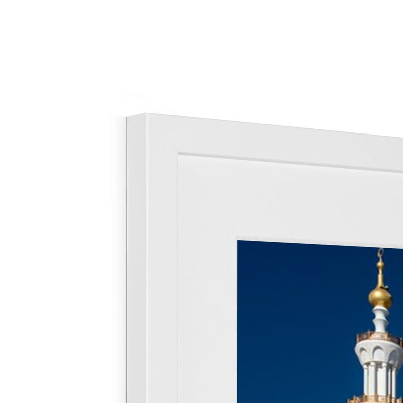 Sheikh Zayed 4 Framed Print | Ayaz Ali