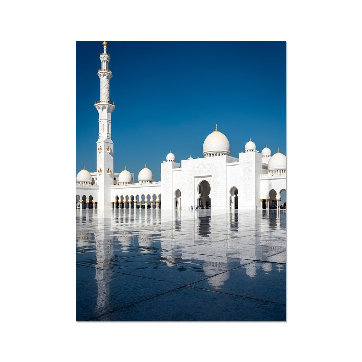 Sheikh Zayed 4 Art Print | Ayaz Ali