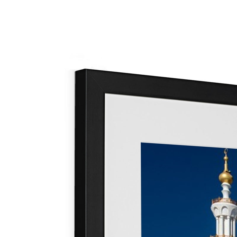 Sheikh Zayed 4 Framed Print | Ayaz Ali