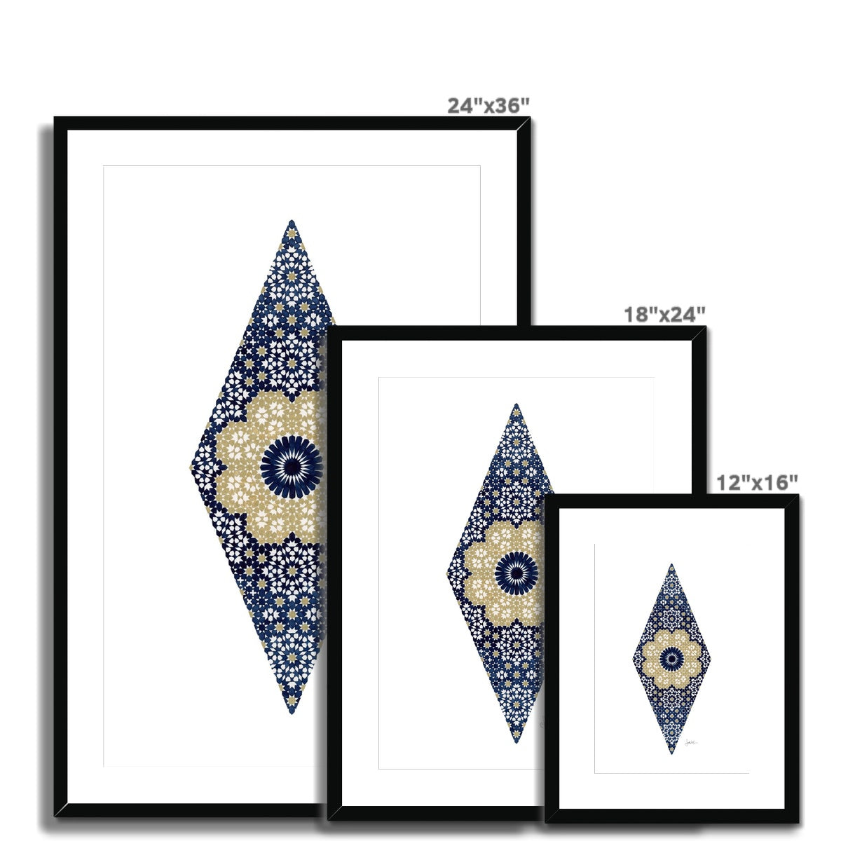Stars in Bloom Framed Print | Sandy Kurt