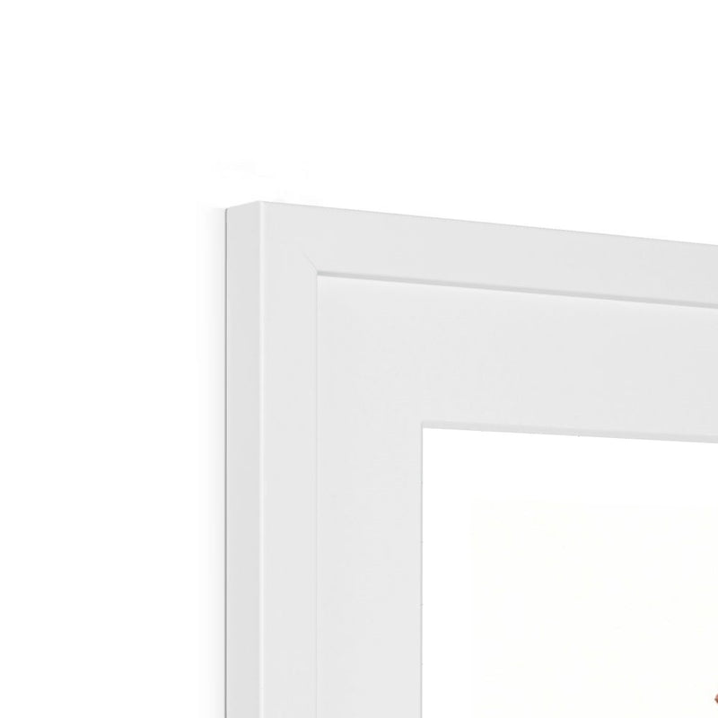 Twelvefold Torus Framed Print | Lieve Oudejans