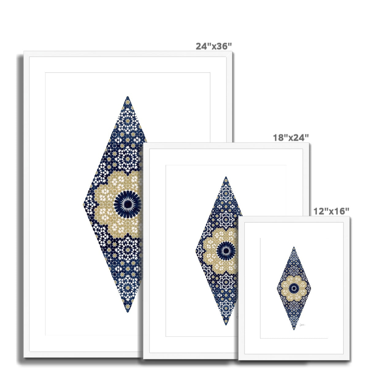 Stars in Bloom Framed Print | Sandy Kurt